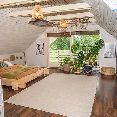 Vila Boka's Forest Getaway *