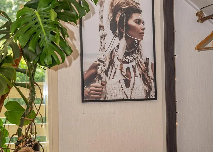 Willa Boka's Forest Getaway