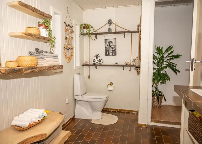 Boka's Forest Getaway *